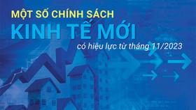 Một số chính sách kinh tế mới có hiệu lực từ tháng 11/2023