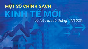 Một số chính sách kinh tế mới có hiệu lực từ tháng 11/2023