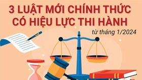 3 Luật mới chính thức có hiệu lực thi hành từ tháng 1/2024