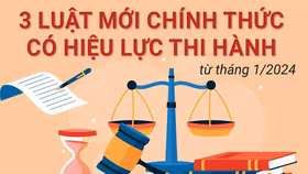3 Luật mới chính thức có hiệu lực thi hành từ tháng 1/2024