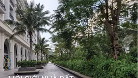 Môi giới nhà đất với "giọng hát đỉnh cao"