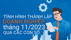 Tình hình thành lập doanh nghiệp tháng 11/2023 qua các con số