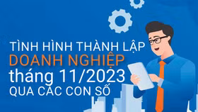 Tình hình thành lập doanh nghiệp tháng 11/2023 qua các con số