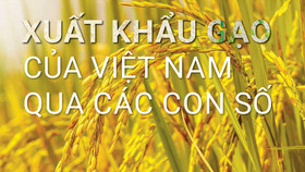 7 tháng đầu năm 2023: Xuất khẩu gạo của Việt Nam qua các con số