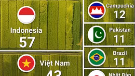 Nhìn lại thành tích ấn tượng của ngành lúa gạo Việt Nam