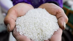 Cổ phiếu gạo tăng sốc: Cẩn trọng với con sóng lớn