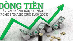 Dòng tiền chảy vào kênh đầu tư nào trong 6 tháng cuối năm 2023?