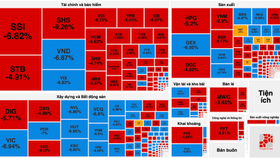 Cổ phiếu bị bán tháo, la liệt nằm sàn, thị trường mất thêm 46 điểm 