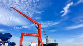 Cảng quốc tế Long An, thuộc khu bến Cần Giuộc