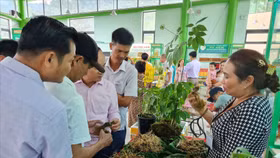 Lễ hội Sâm và Hương liệu, Dược liệu Quốc tế lần đầu tiên được tổ chức tại TP.HCM