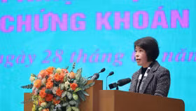 Thứ trưởng Bộ Kế hoạch và Đầu tư Nguyễn Thị Bích Ngọc