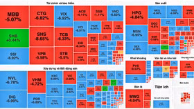 Cổ phiếu nằm sàn la liệt, VN-Index đánh rơi gần 60 điểm