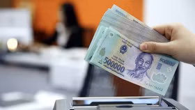 Y dược Thăng Long bị đề nghị thu hồi đăng ký kinh doanh, Giám đốc công ty có nguy cơ không được xuất cảnh