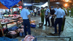 Triệt phá đường dây mua bán lợn bệnh, lợn ốm đưa vào các quán cơm bình dân, cơm văn phòng