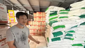 Triệt phá đường dây sản xuất, buôn bán thực phẩm, bột giặt giả hoạt động liên tỉnh