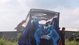 Khởi tố nhiều đối tượng giết mổ, tiêu thụ thực phẩm nhiễm dịch tả lợn Châu Phi