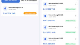 Hoá đơn tiền điện của hàng chục khách hàng ở chung cư Dolphin Plaza tăng bất thường