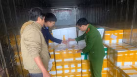 Thu giữ hàng chục tấn cá chứa chất cấm cực độc đang trên đường đi tiêu thụ