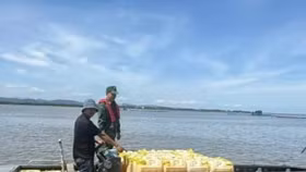 Biên phòng Quảng Ninh tạm giữ một phương tiện vận tải thủy vận chuyển xăng E10 RON 95 không rõ nguồn gốc