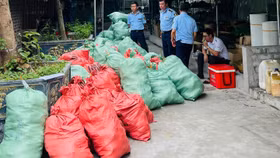 Kiểm tra Công ty Nam Nga, Quản lý thị trường Hải Phòng phát hiện lượng lớn dép trẻ em có dấu hiệu giả mạo nhãn hiệu