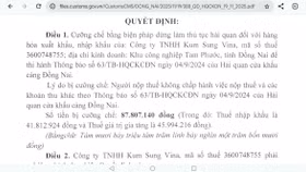 Không chấp hành pháp luật về thuế, một doanh nghiệp FDI bị dừng làm thủ tục hải quan