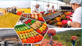 EU tăng cường kiểm tra SPS, doanh nghiệp xuất khẩu nông sản cần làm gì?