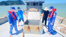 Tạm giữ tàu biển vận chuyển hàng chục nghìn lít dầu D.O không rõ nguồn gốc