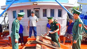 Công ty vận tải biển Nam Thịnh vận chuyển hơn 1 nghìn tấn than trái phép