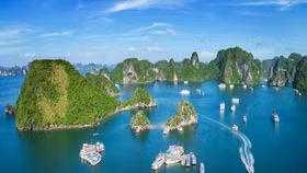 Lợi thế vô song biến nơi này thành “thỏi nam châm” hút đầu tư toàn cầu, riêng hai ông lớn Việt đã rót hàng chục tỷ USD