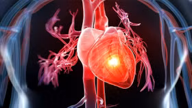 Tình trạng viêm âm thầm làm tăng nguy cơ đau tim ở phụ nữ