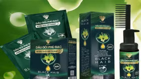 Dầu gội phủ bạc Natural Black Hair Colorant
