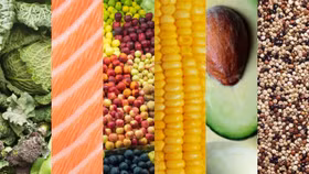 Bí quyết ăn uống để luôn tràn đầy năng lượng