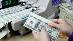 Tỷ giá USD hôm nay ngày 3/12: Đồng đô la Mỹ rớt giá mạnh trên chợ đen