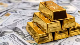  “Thu hoạch” của người rút tiết kiệm mua 3 cây vàng thời điểm giá gần 190 triệu đồng/lượng