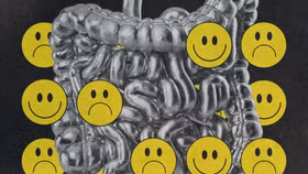 Người “điều phối cảm xúc” bị lãng quên trong… cái bụng?