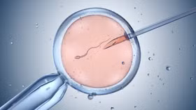 Phụ nữ độc thân tại Việt Nam có thể thực hiện IVF từ 1/10