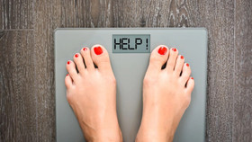 Tận hưởng Tết trọn vẹn mà không lo tích mỡ