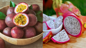 Thanh long, chanh leo Việt Nam vào “tầm ngắm” siết chặt kiểm soát của EU