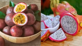 Thanh long, chanh leo Việt Nam vào “tầm ngắm” siết chặt kiểm soát của EU