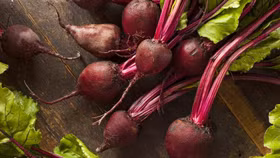 Vì sao củ dền có thể giúp cải thiện lưu thông máu và hạ huyết áp?