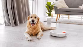 Những “chiến binh” robot hút bụi dành riêng cho nhà nuôi thú cưng