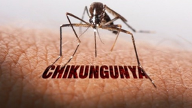 Bộ Y tế đã chính thức lên tiếng bác bỏ thông tin sai lệch về dịch Chikungunya tại Việt Nam