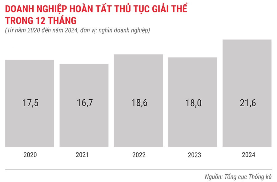 dn-hoan-tat-thu-tuc-giai-the-trong-12-thang-tu-nam-2020-den-2024.jpg