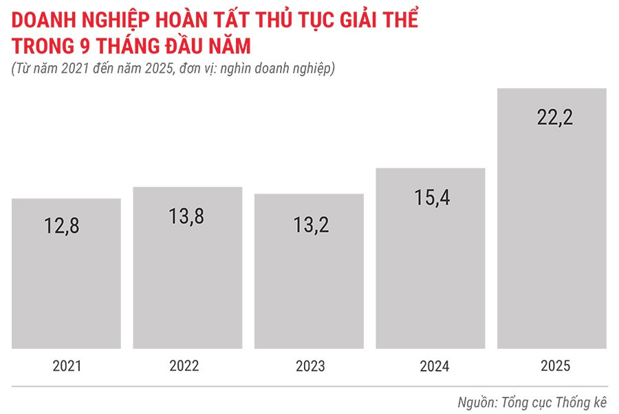 dn-hoan-tat-thu-tuc-giai-the-trong-9-thang-tu-nam-2021-den-2025.jpg