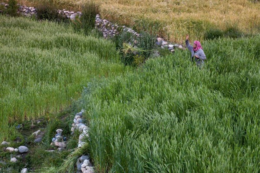 baltistan.jpg