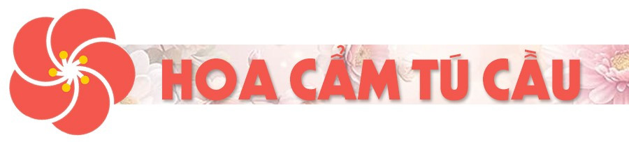 cam-tu-cau.jpg