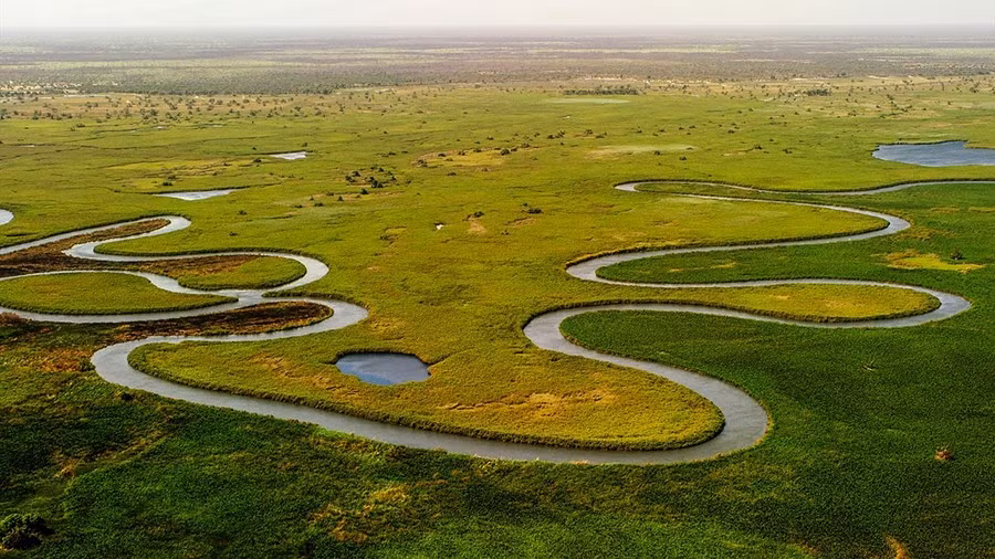 dong-co-okavango-botswana.jpg