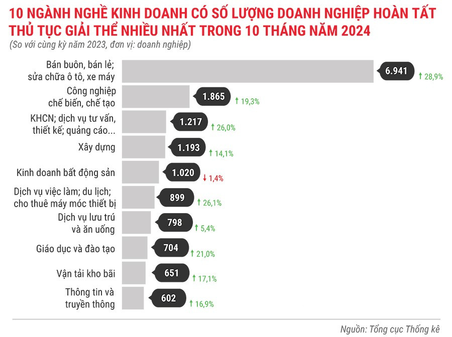 10-nganh-nghe-kinh-doanh-co-so-luong-dn-hoan-tat-thu-tuc-giai-the-nhieu-nhat-trong-10-thang-dau-nam-2024.jpg