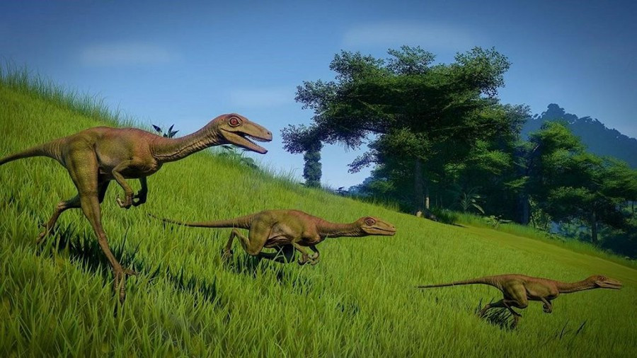 troodon.jpg