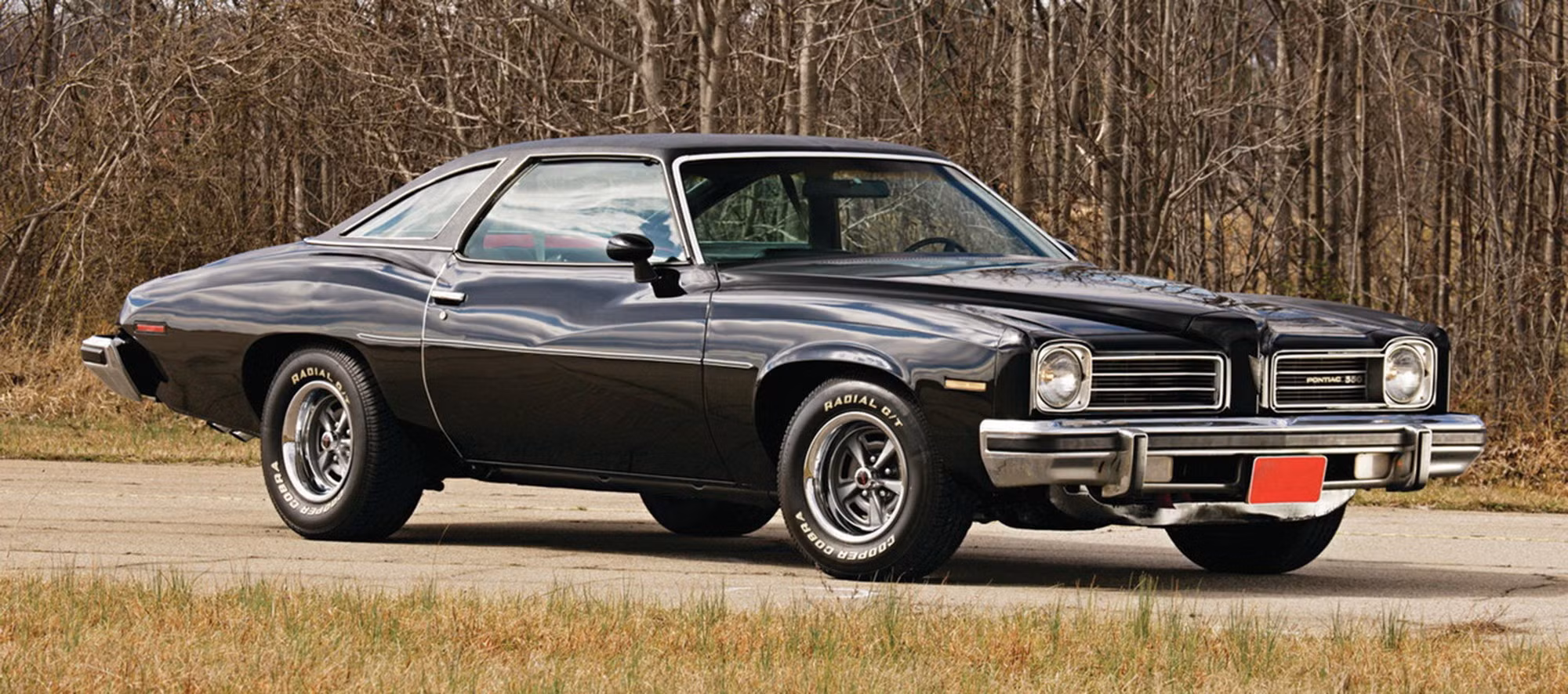 pontiac-lemans-1974-2639.jpg